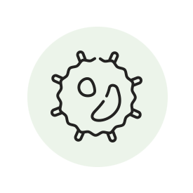 faste 16 timer autophagy