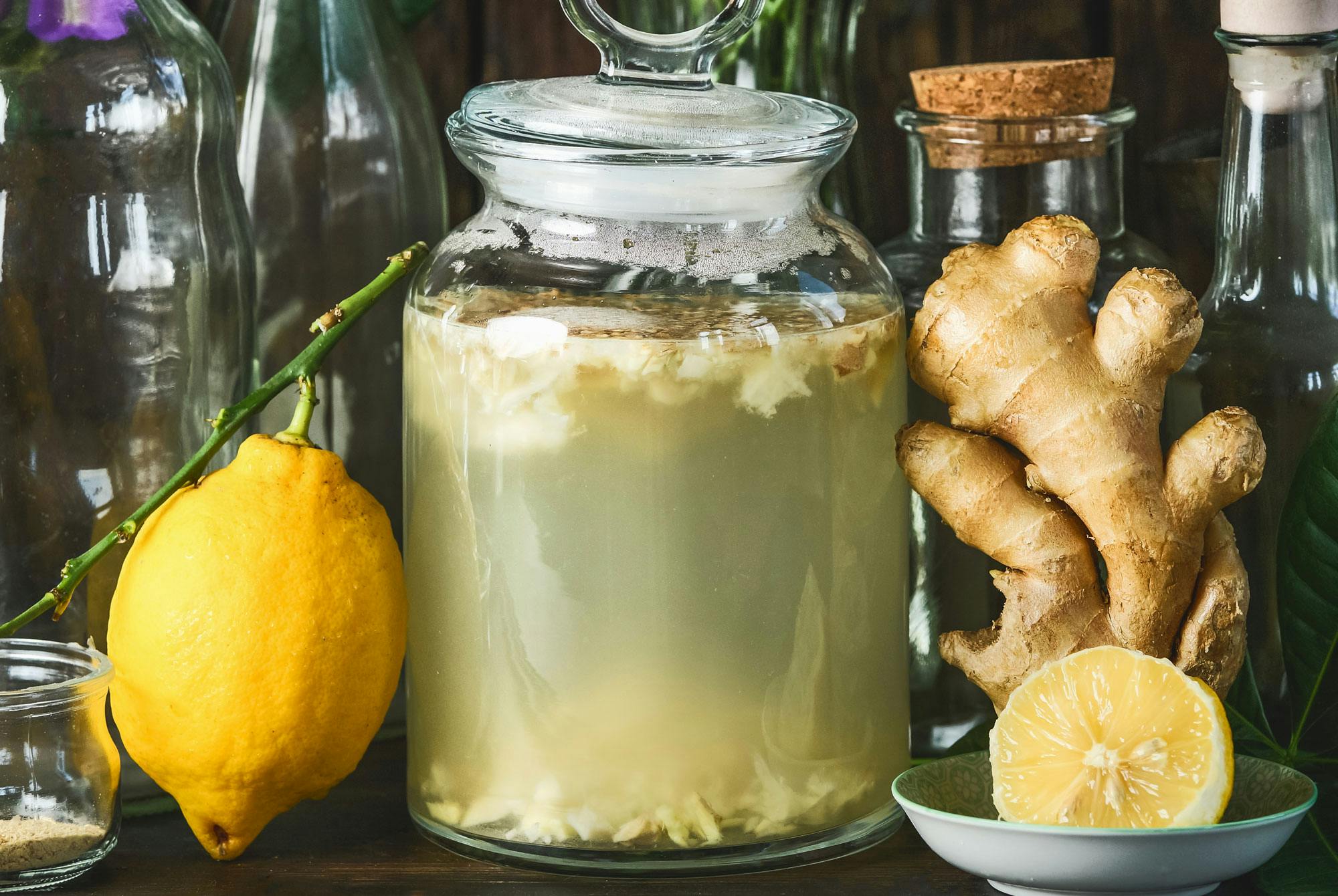 ginger bug eller ingefær starter til ginger beer