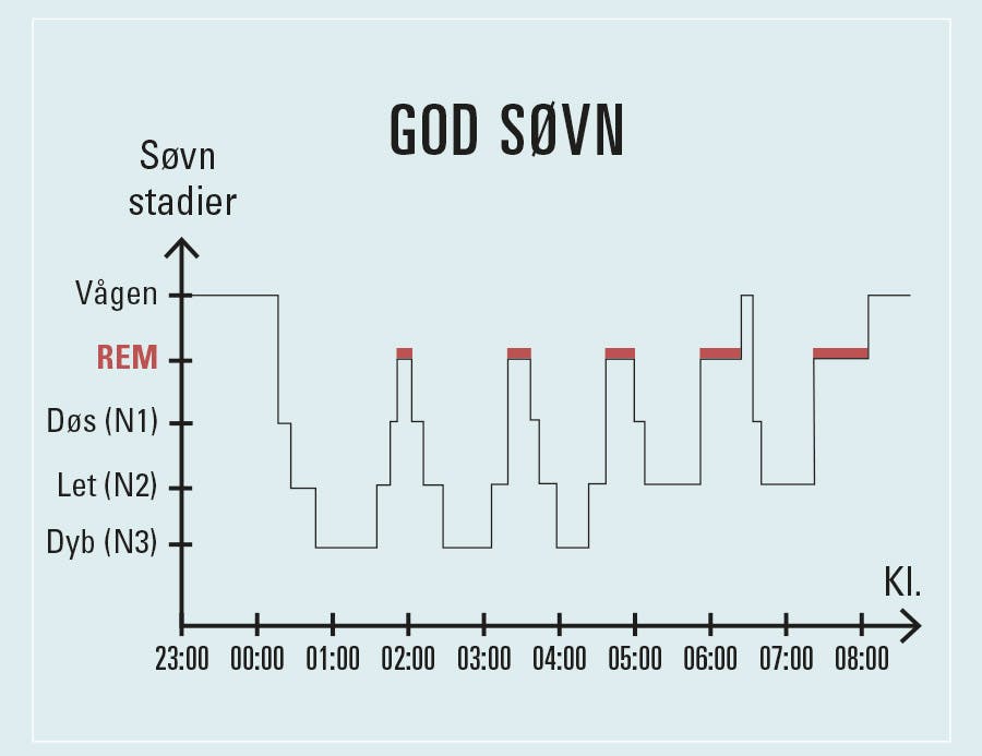 Eksempel på en yngre voksen persons nattesøvn med 5 søvncykler – og 3 perioder med dyb søvn.