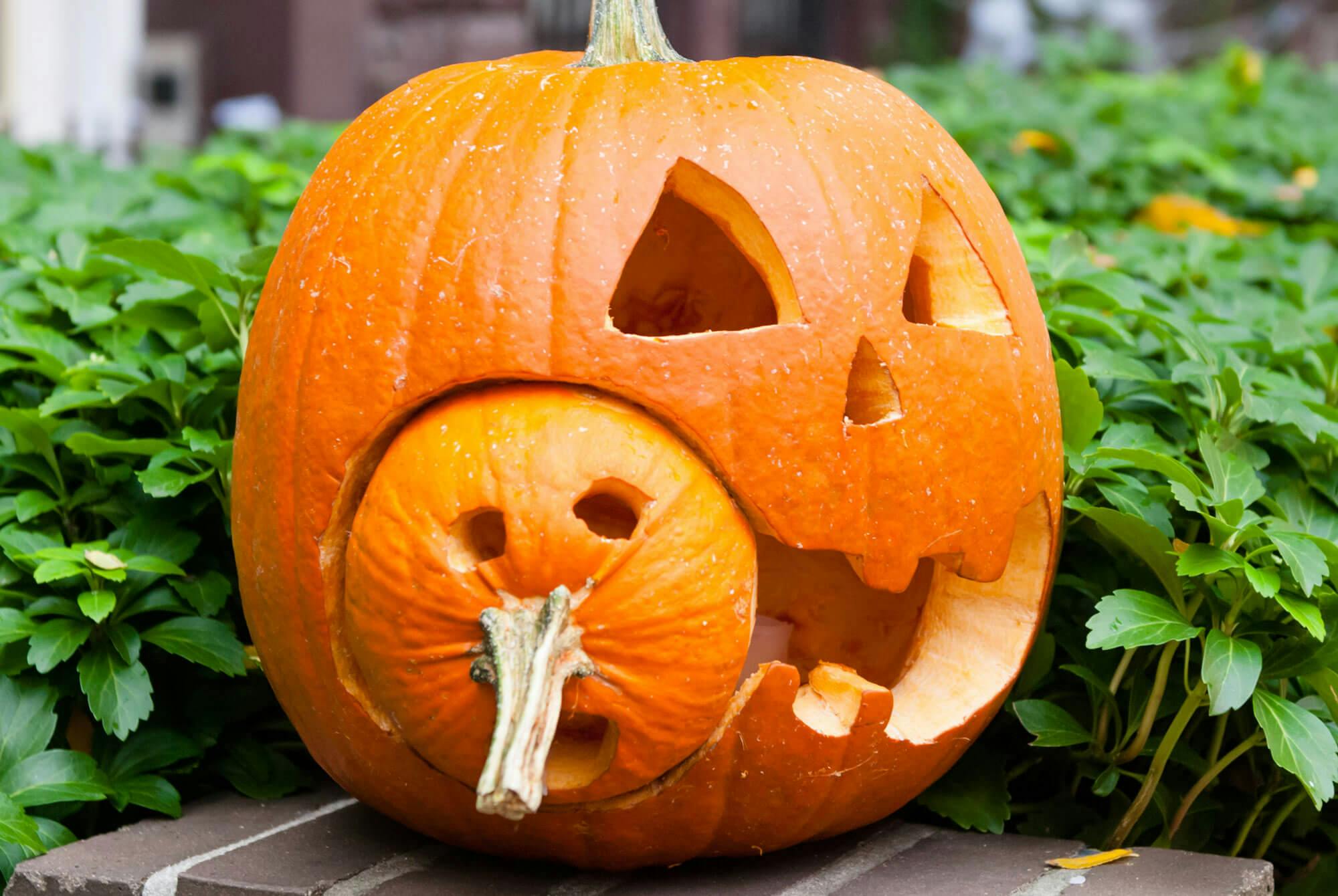 Gresskarutskjæring spiser liten utgave