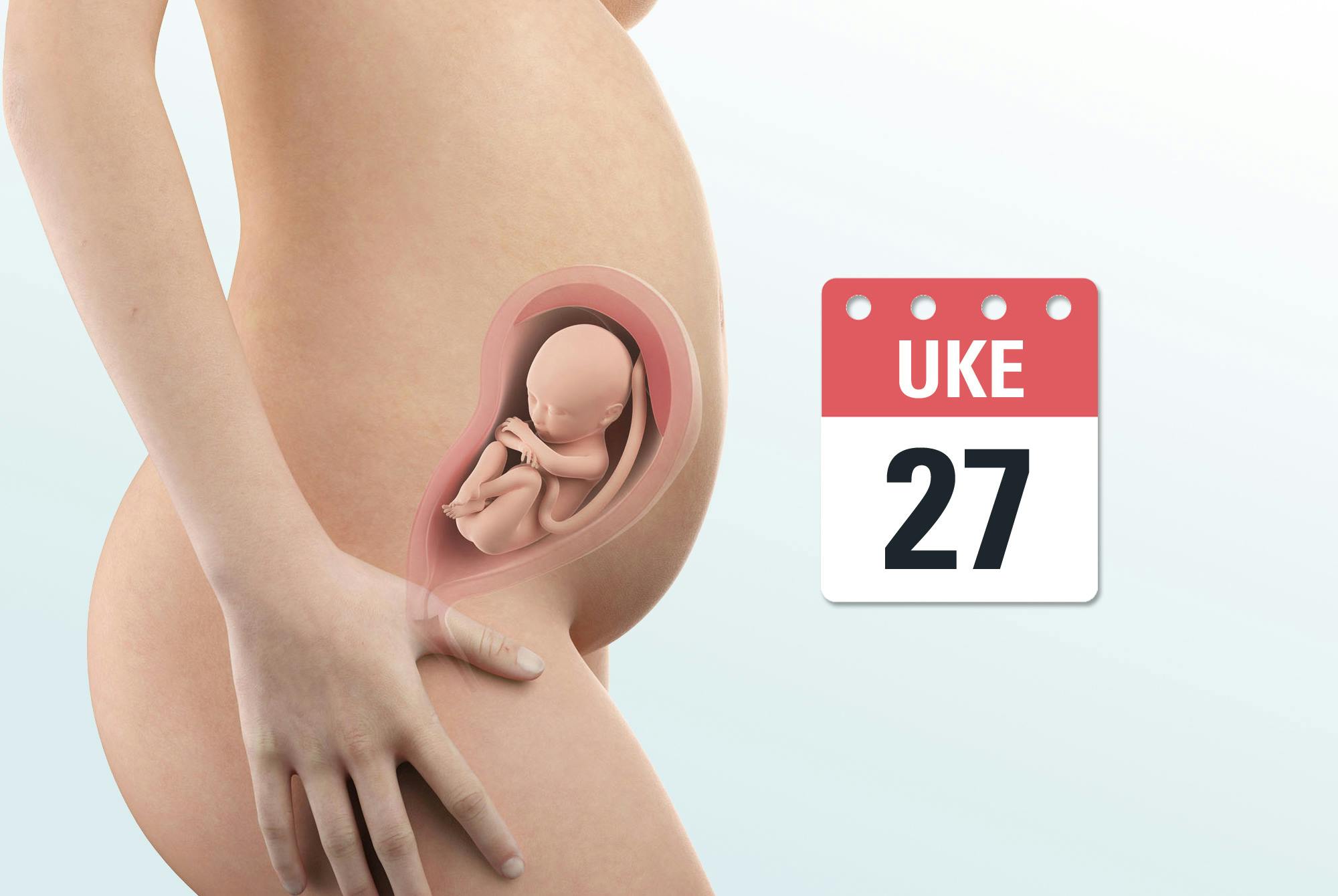 Gravid uke 27 – mage og foster