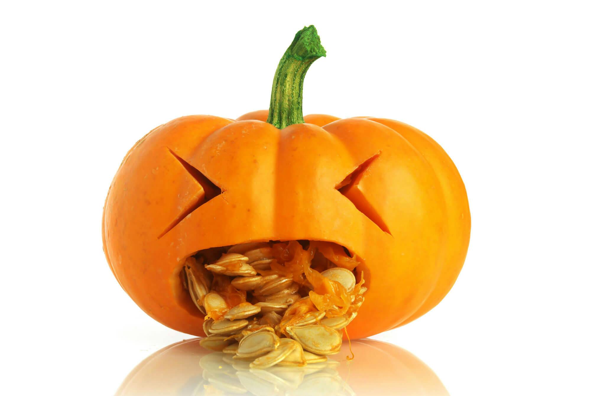 Halloween-gresskar som kaster opp