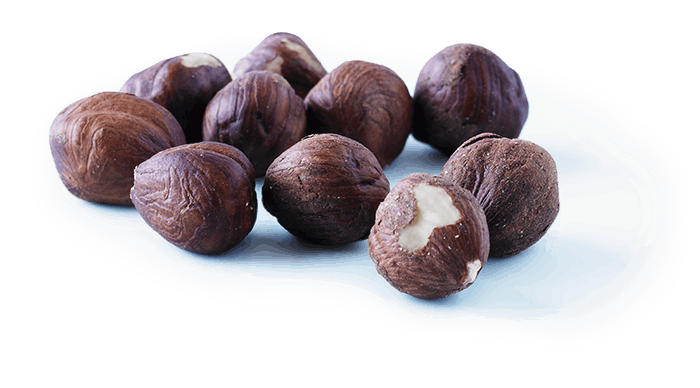 Hasselnødder