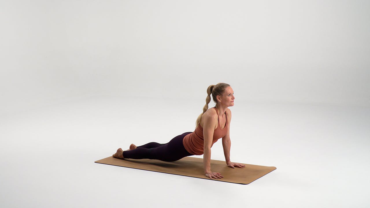 Ylöspäin katsova koira