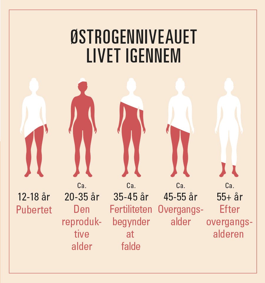 illustration viser kvindens østrogen-niveau i alle aldre