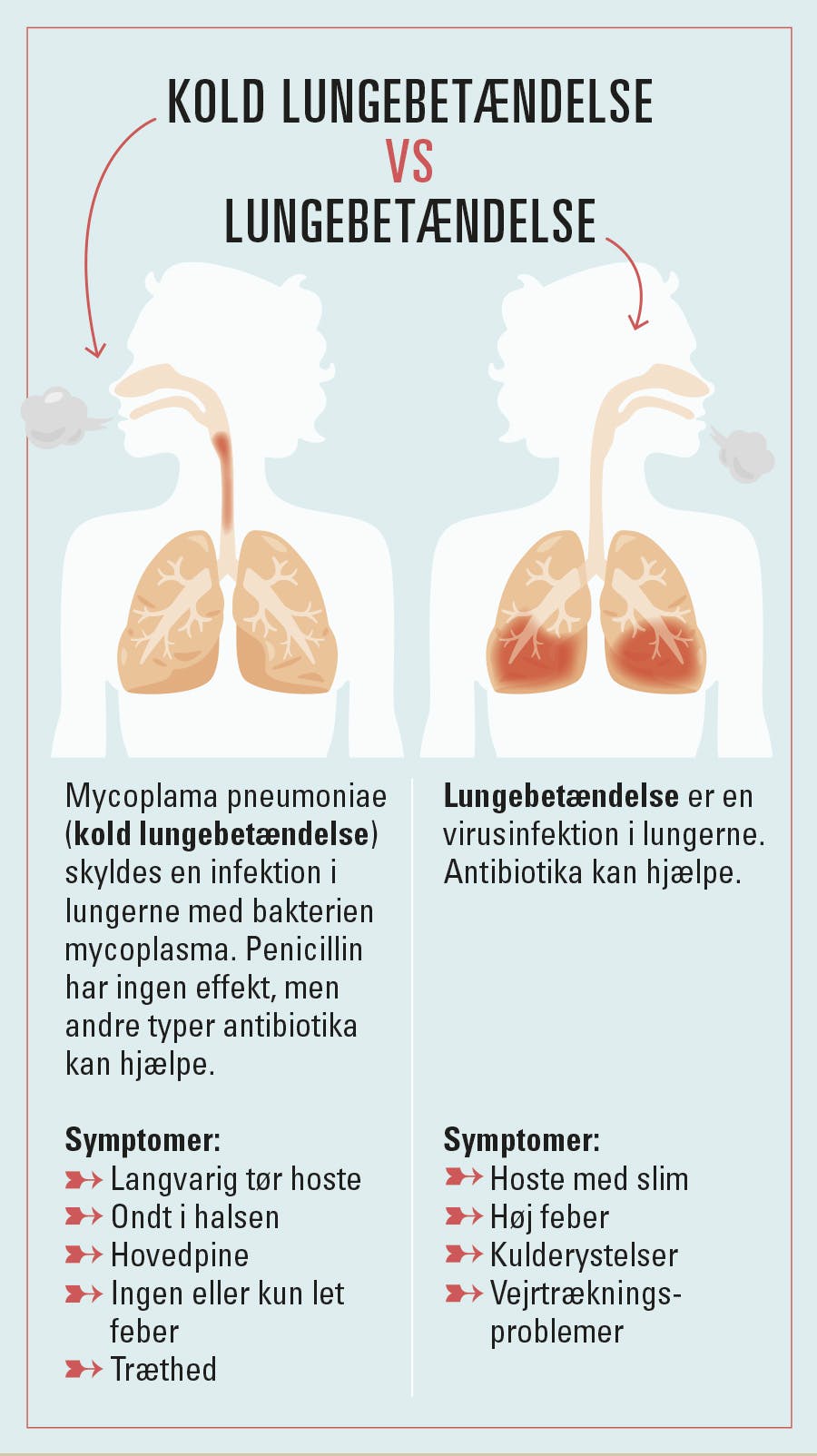 illustration viser kold lungebetændelse vs lungebetændelse