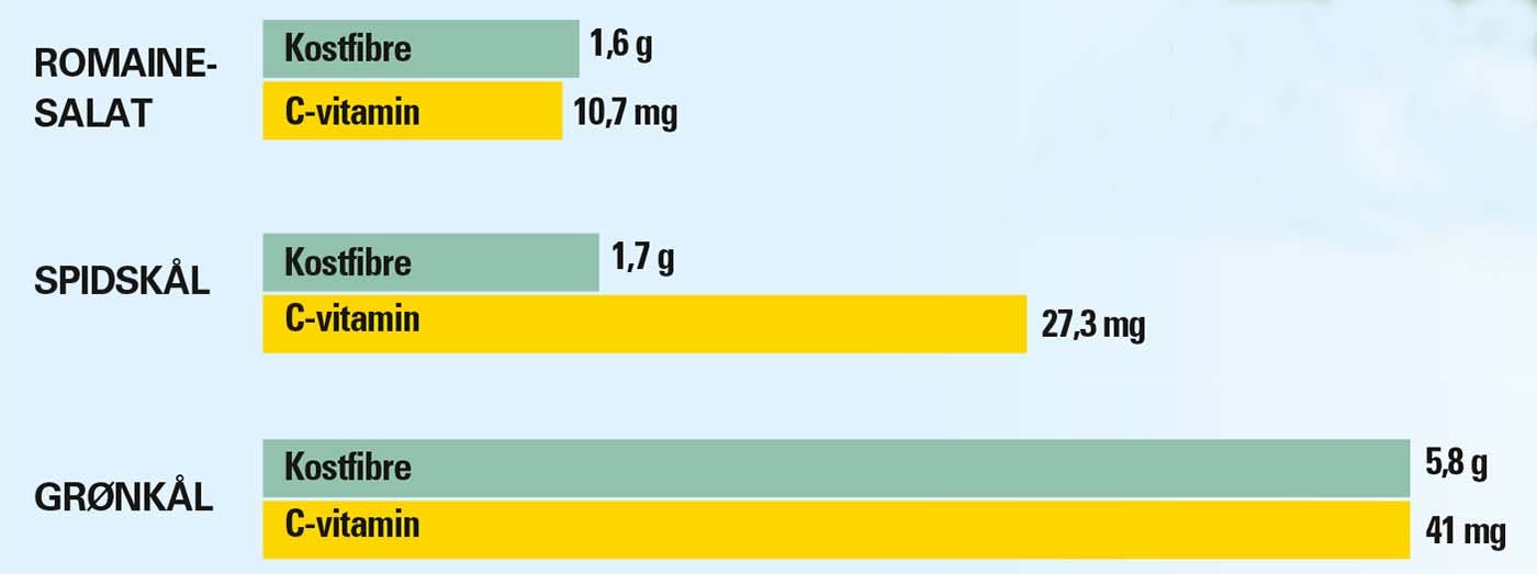 Indholdet af kostfibre og c-vitamin i henholdsvis romainesalat, spidskål og grønkål