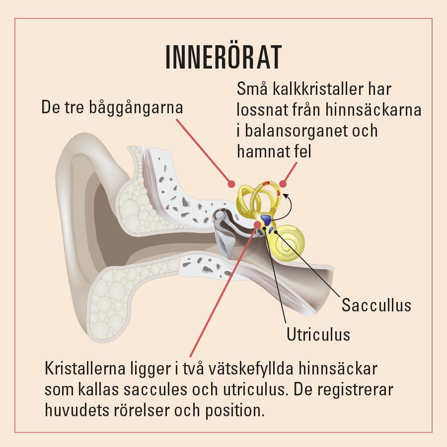 innerorat och yrsel