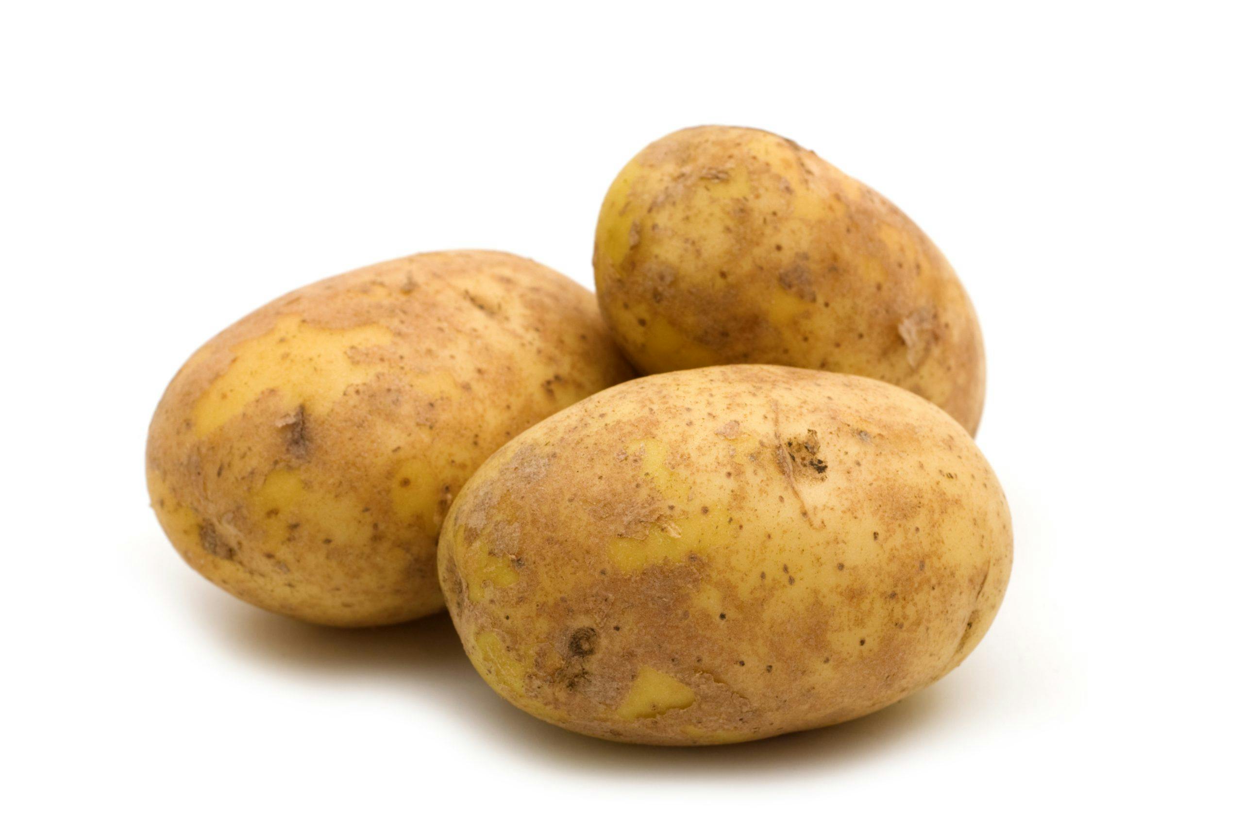 Potatis
