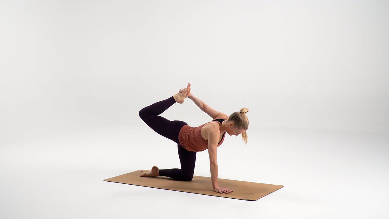 Jakthunden med bakåtsträck