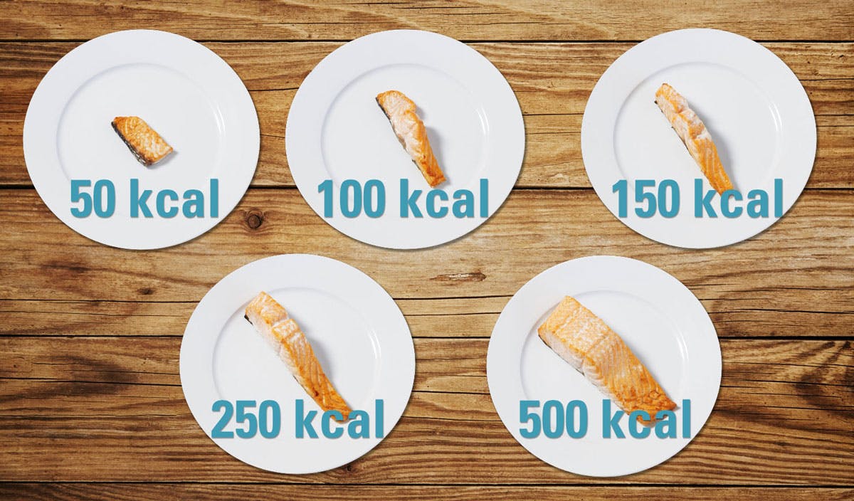 Så mange kalorier er der i laks – forskellige størrelser laksestykker