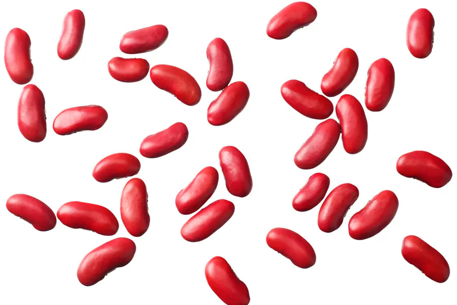 kidneybønner