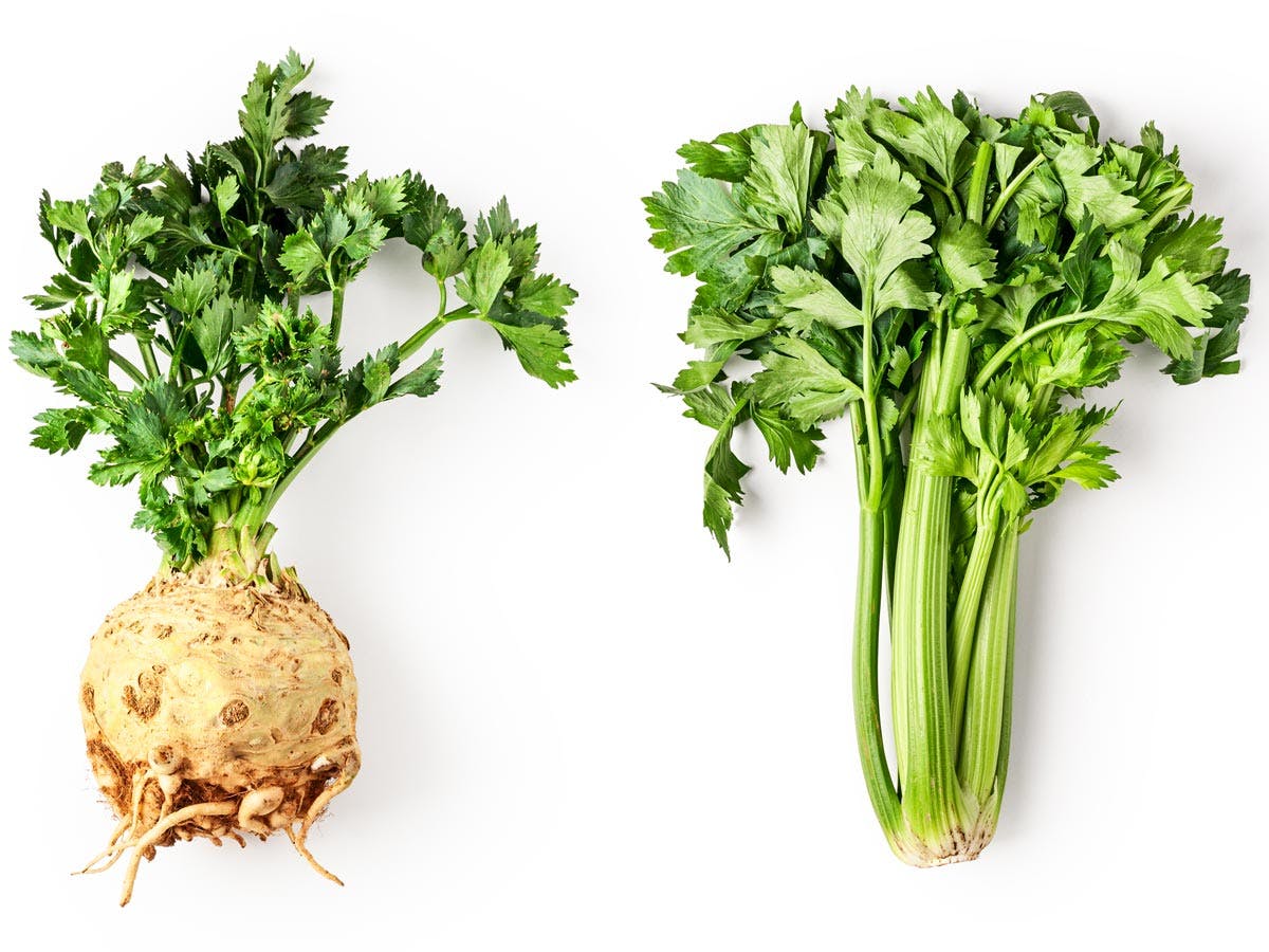 Et knoldselleri og et bladselleri
