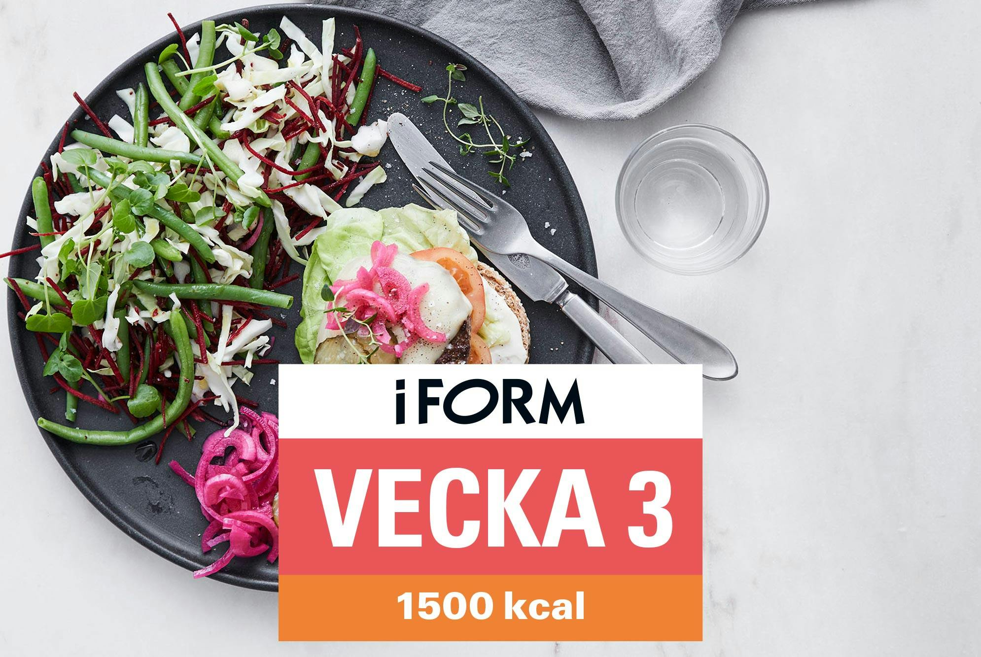 Kostplan 1500 kcal vecka 3 – burgermenu