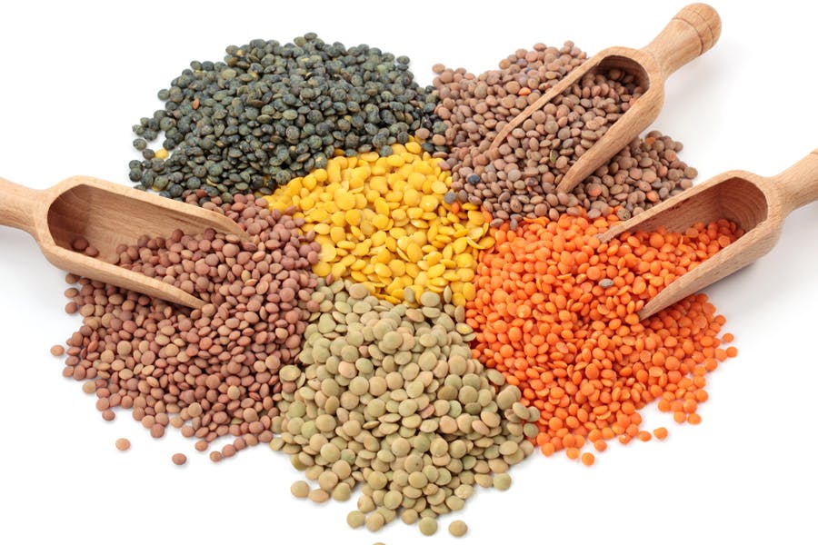 Olika slags linser till daal