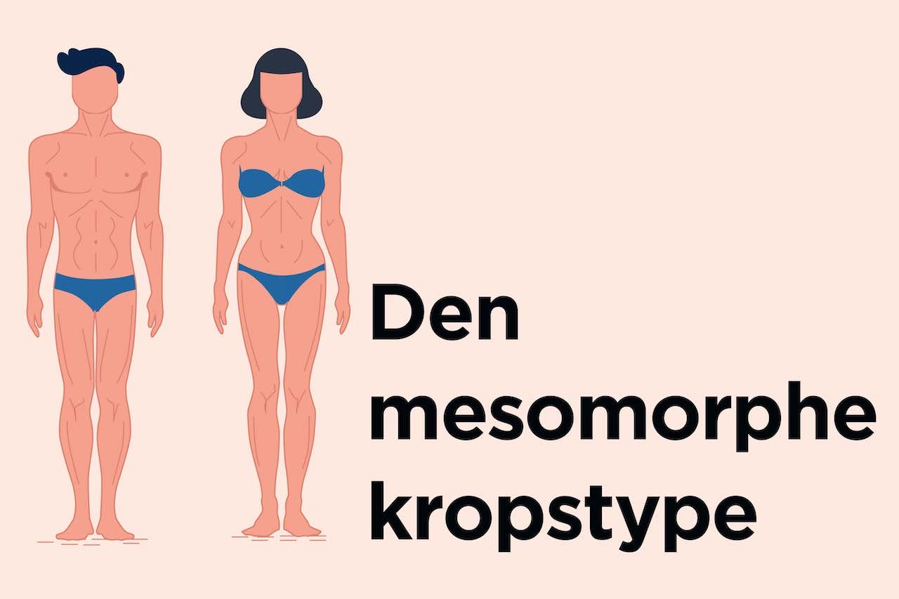 illustration af den mesomorphe kropstype