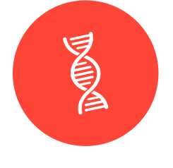 DNA-juosteen piirroskuva