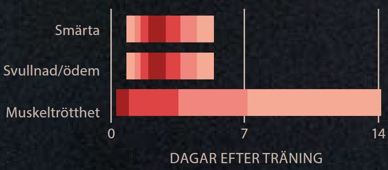 Diagram över smärta, svullnad och muskeltrötthet efter avslutad träning
