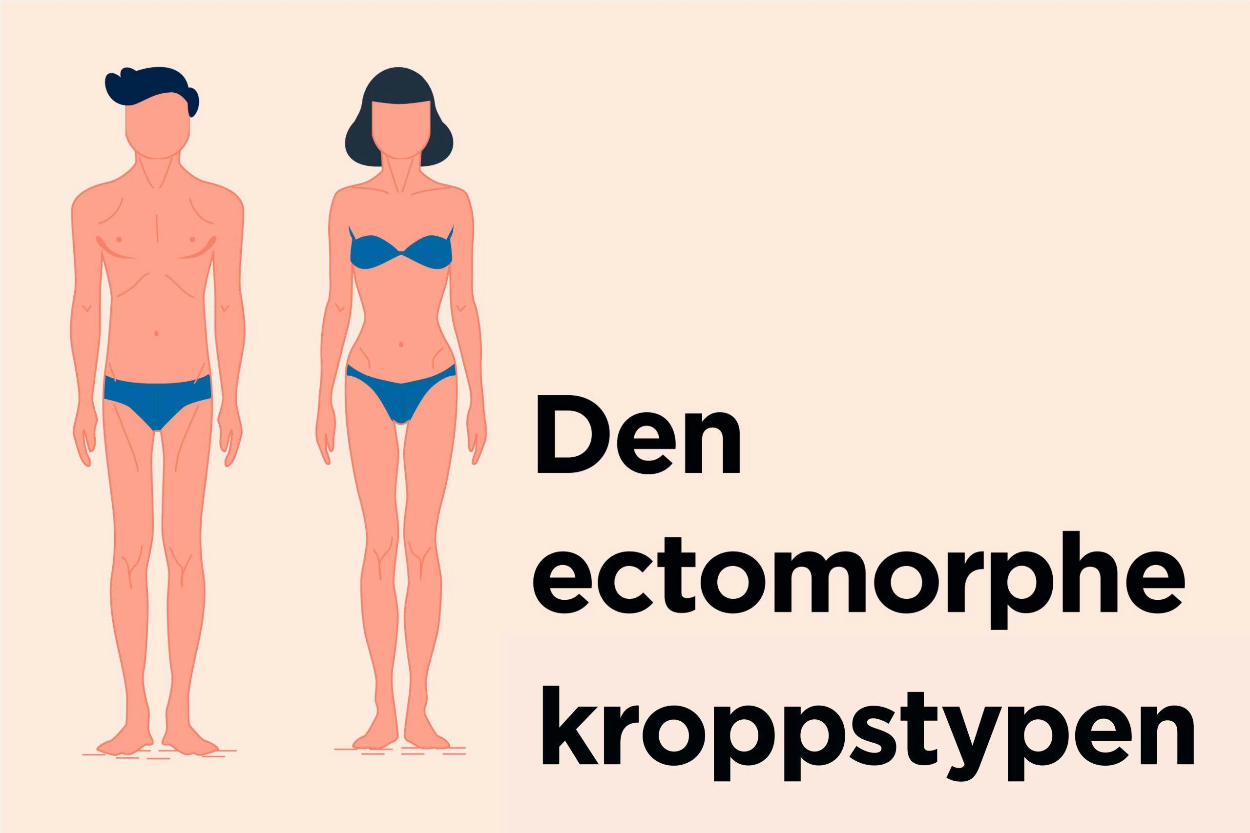 illustrasjon av den ectomorphe kroppstypen