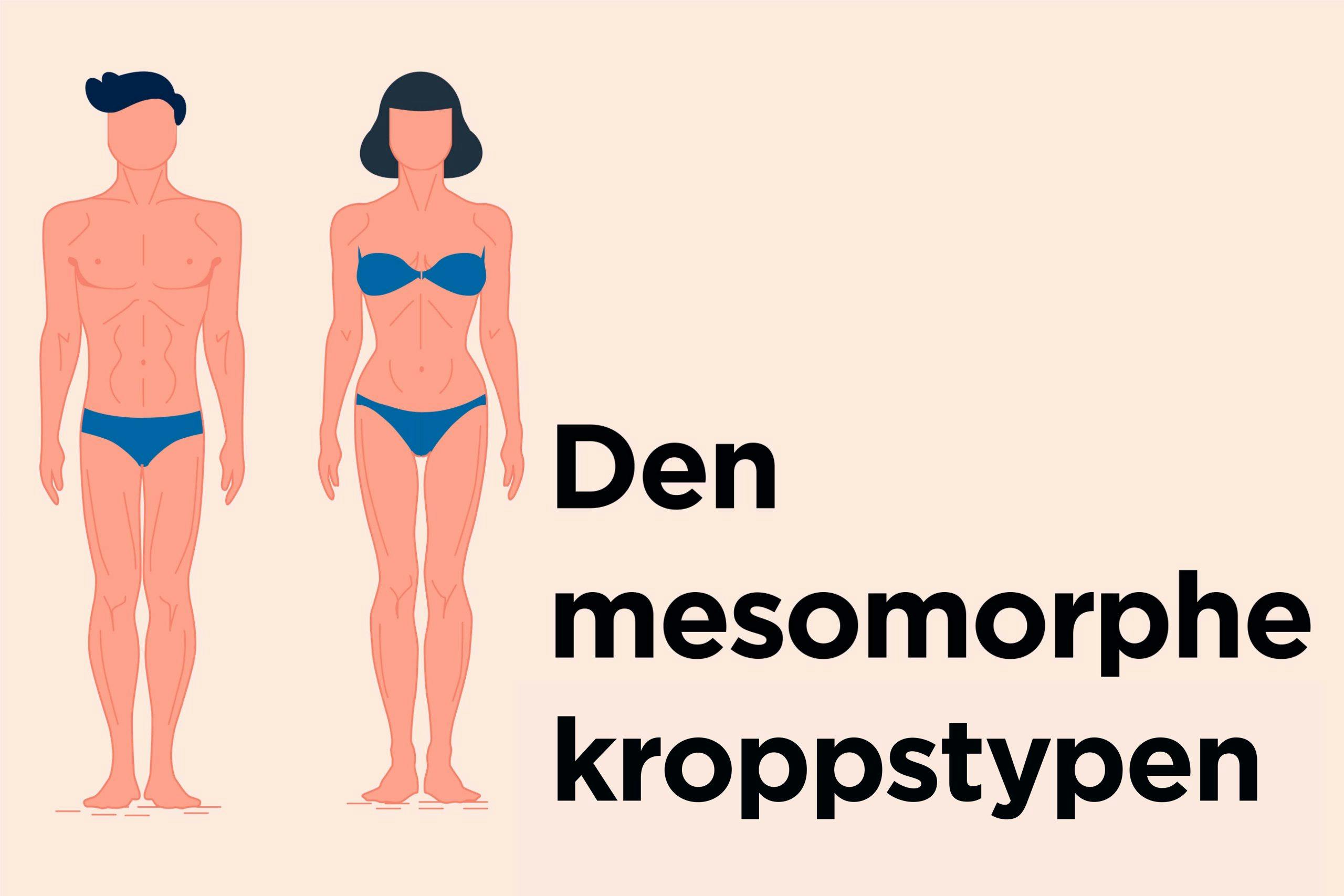 illustrasjon av den mesomorphe kroppstypen