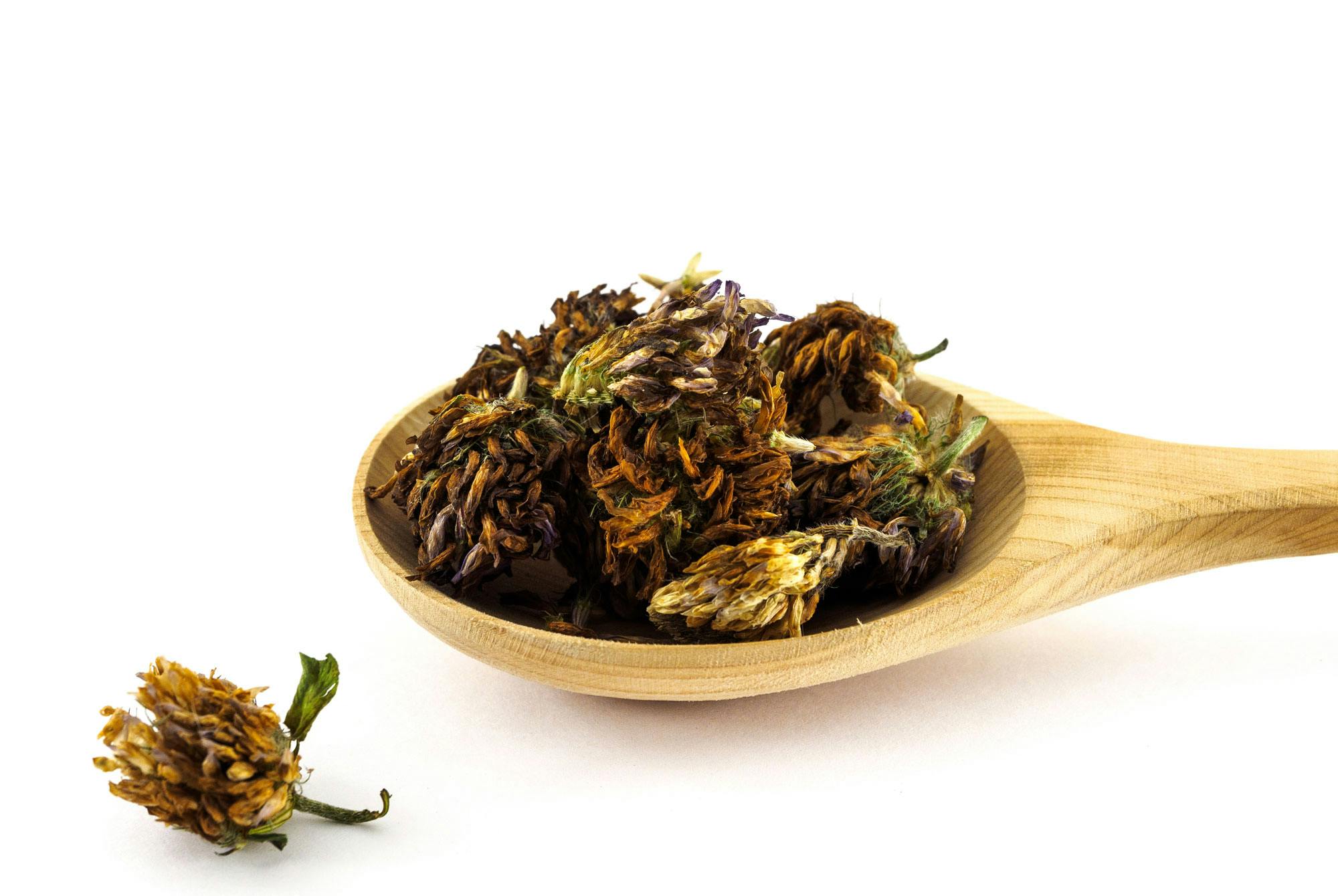 Rödklöver livsmedel med östrogen