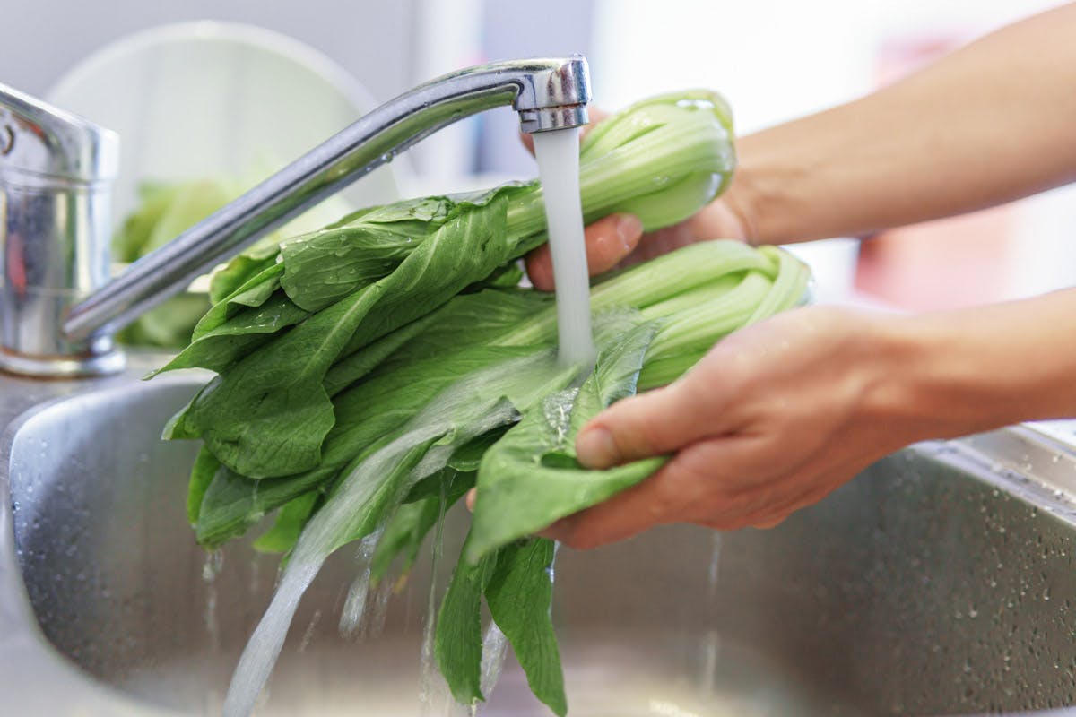 Pak choi skylles under vandhane