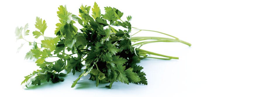 Persilja – lisää KUNTO PLUS ruokavalion aterioihin mausteyrttejä mielesi mukaan