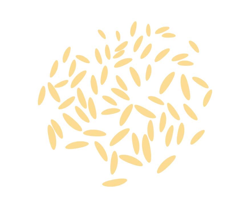 illustrasjon av ris til one pots