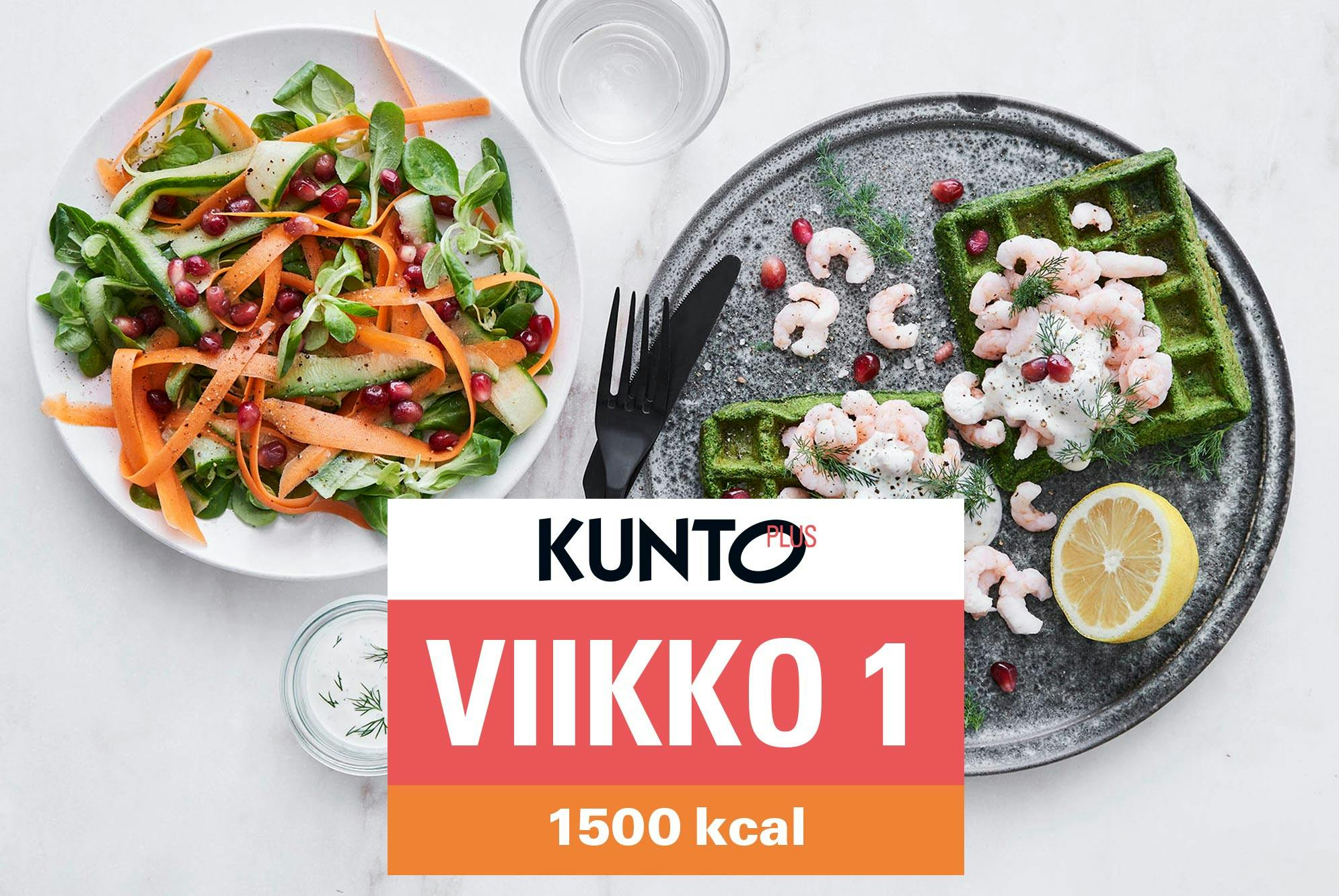 Ruokavalio 1500 kcal viikko 1 – ruokalistalla vohveleita.