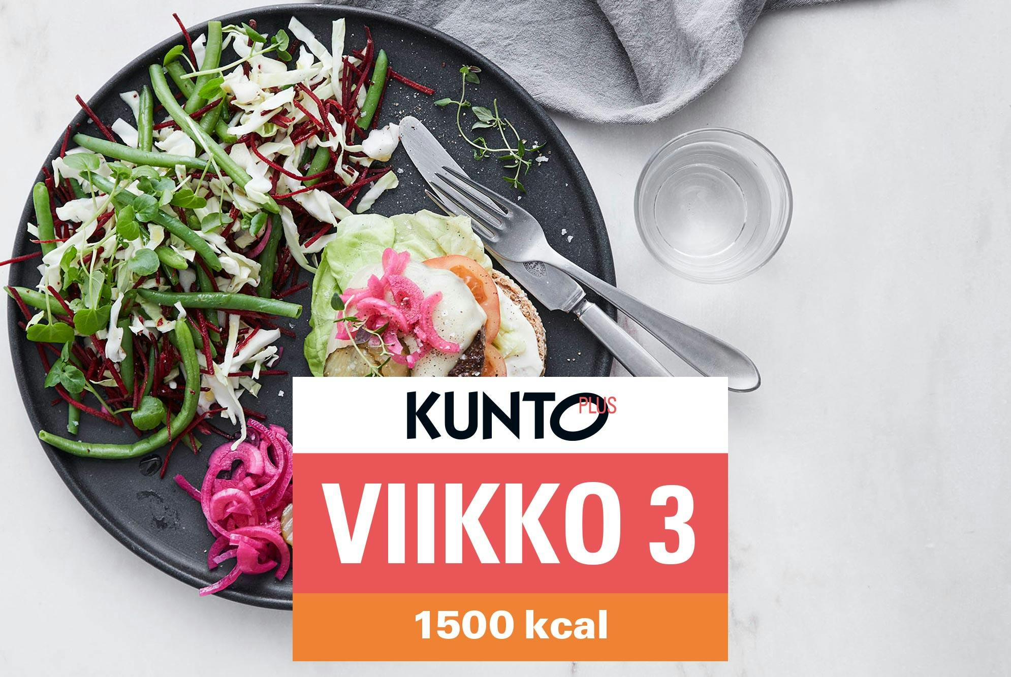 Ruokavalio 1500 kcal viikko 3 – hampurilaisateria.
