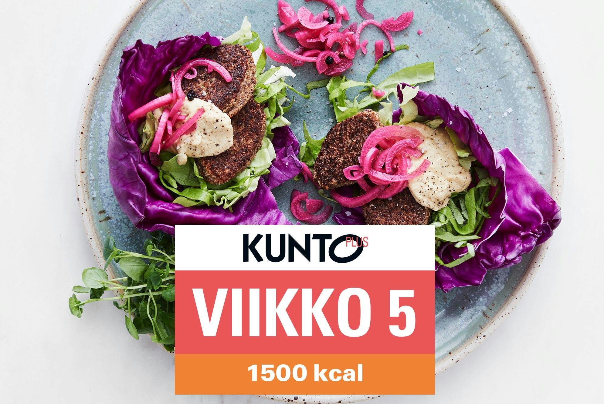 Ruokavalio 1500 kcal viikko 5 – suippokaaliwrapit