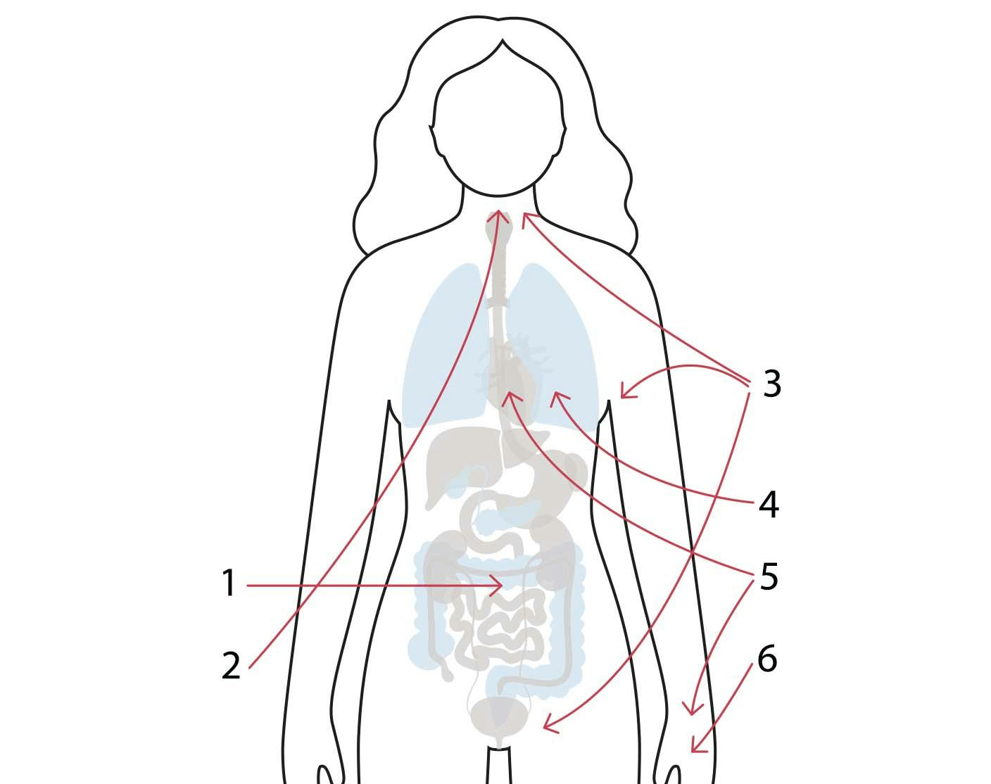 Hur undersöker din läkare dig?