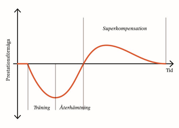 Graf över prestationsförmåga och superkompensation