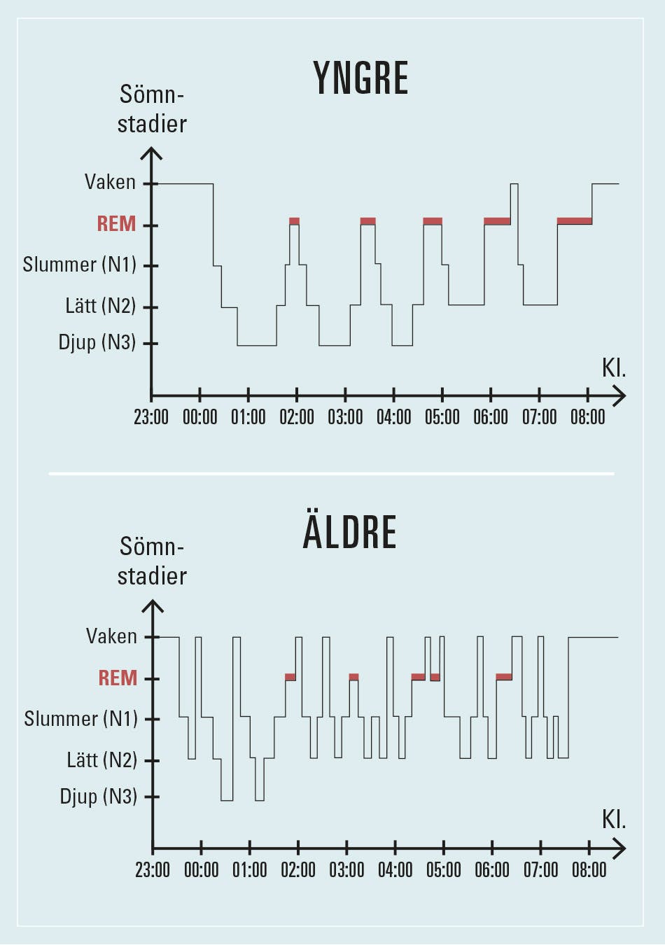 Grafik – sömnmönster hos en ung vuxen och en äldre vuxen. Den äldre personen får mindre djupsömn och fler uppvaknanden