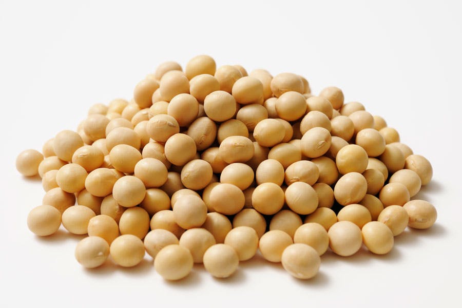 fiberrik kost sojabönor