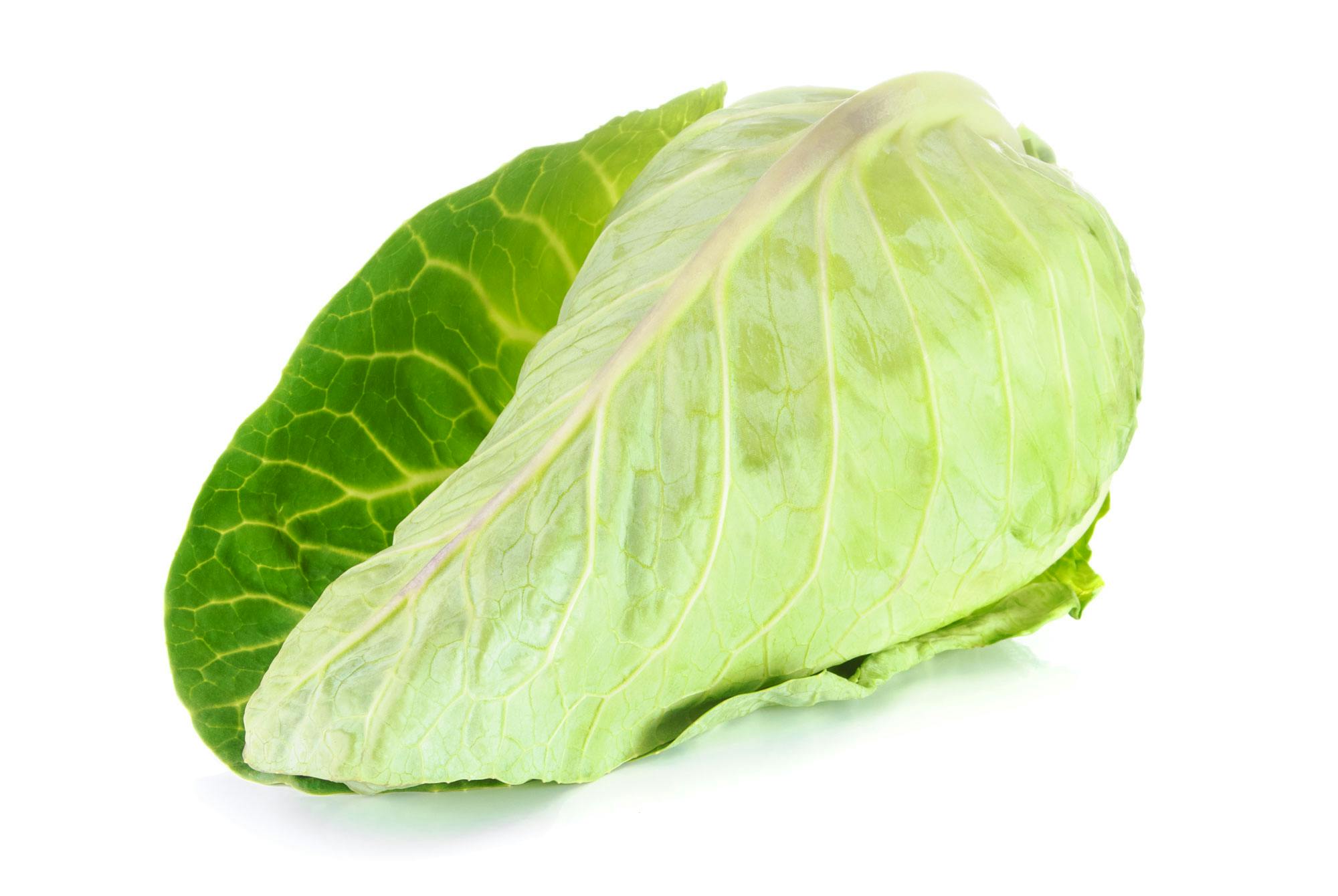 spidskål til kimchi nordisk version