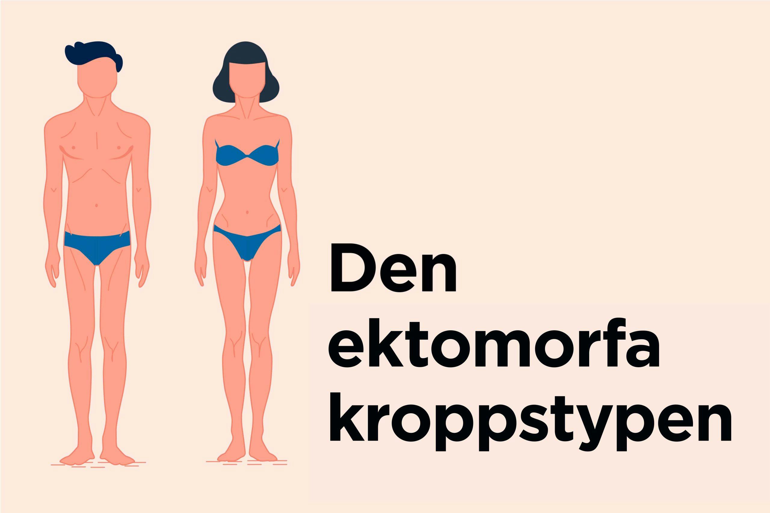 Illustration av den ektomorfa kroppstypen