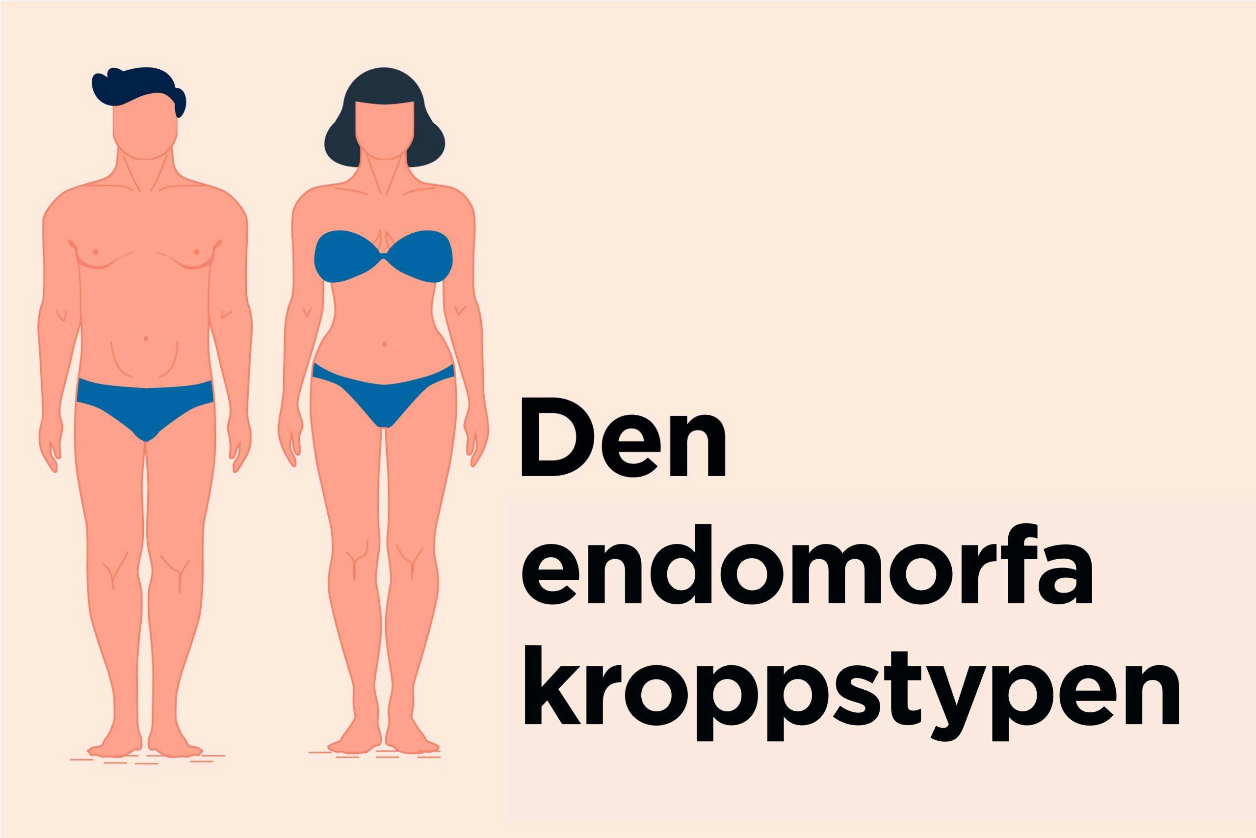 Illustration av den endomorfa kroppstypen