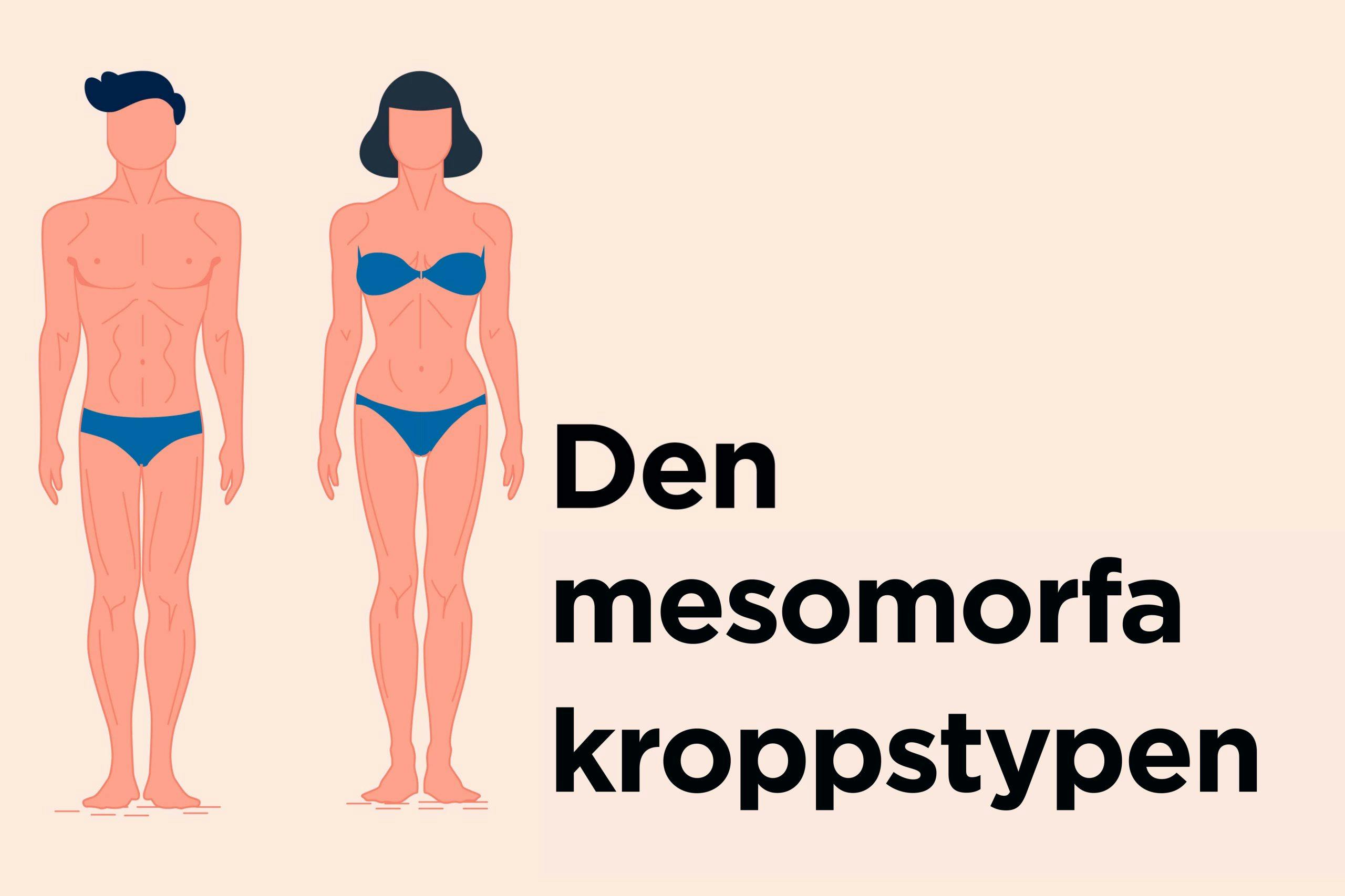 Illustration av den mesomorfa kroppstypen