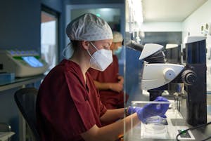 raskauslaskuri blastokysti