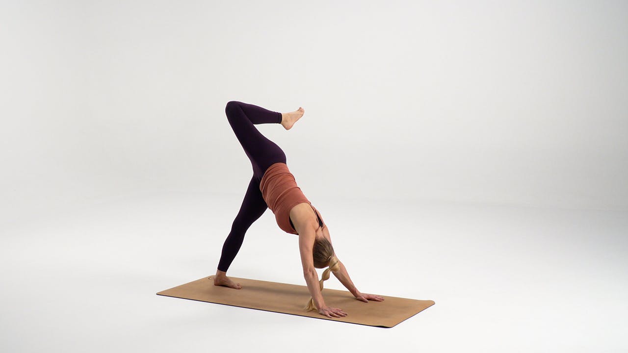 Trebent hund med öppen höft