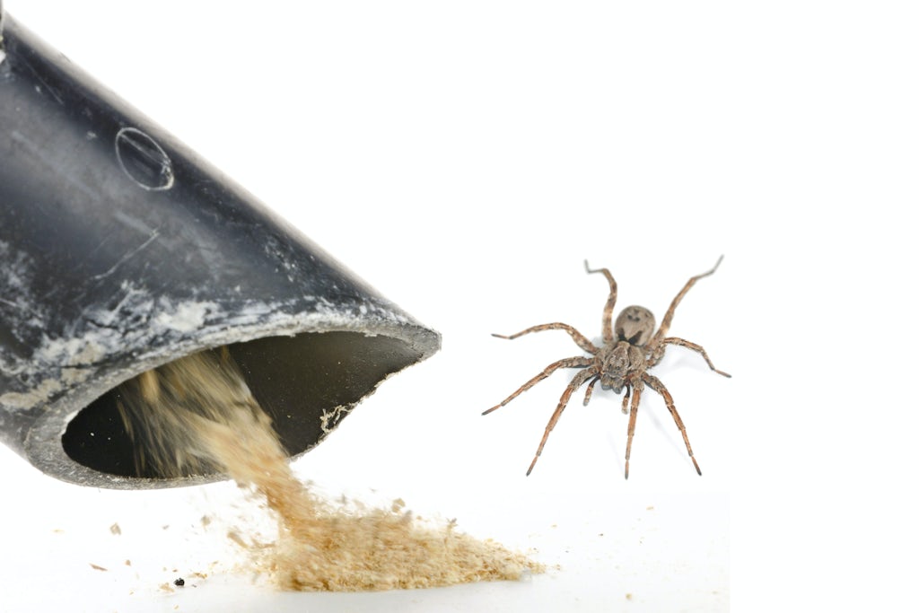 Spider vacuum