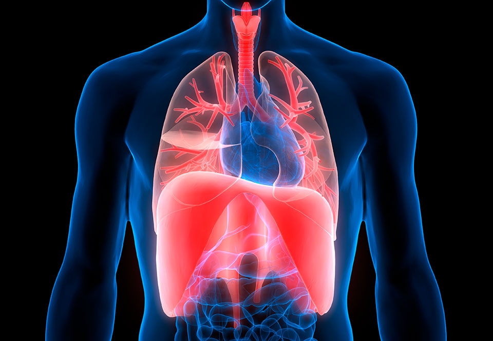 Vad orsakar hicka? | illvet.se