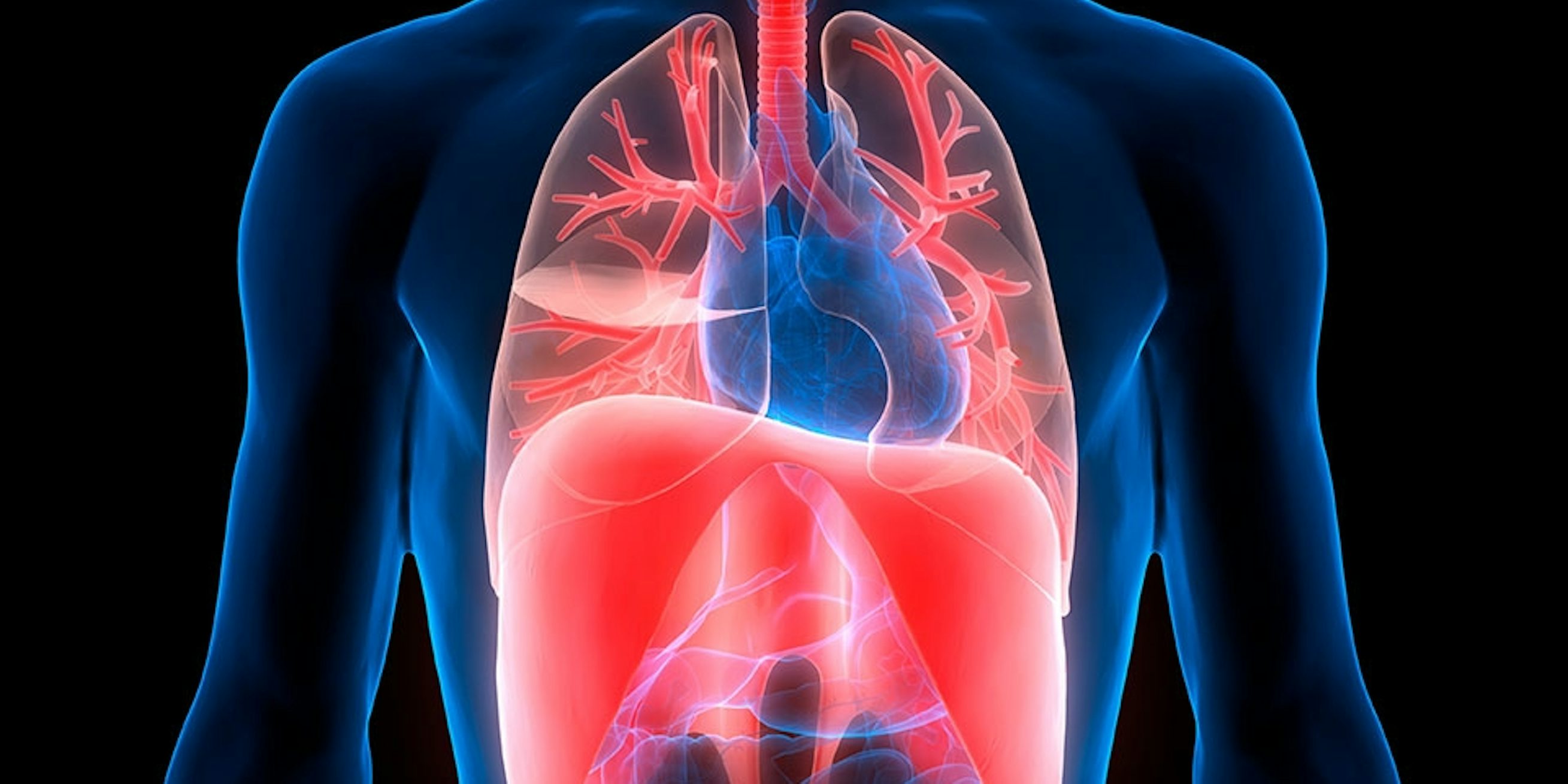 Vad orsakar hicka? | illvet.se