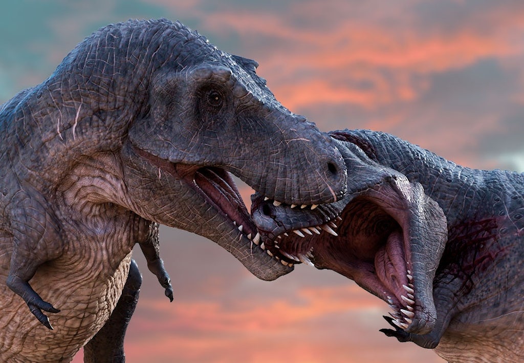 Tyrannosaurus rex Tyrannosaurus rex
