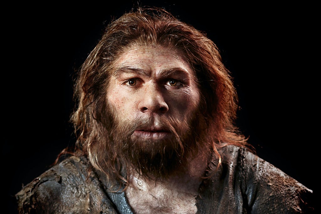 Hvorfor forsvandt neandertalerne?