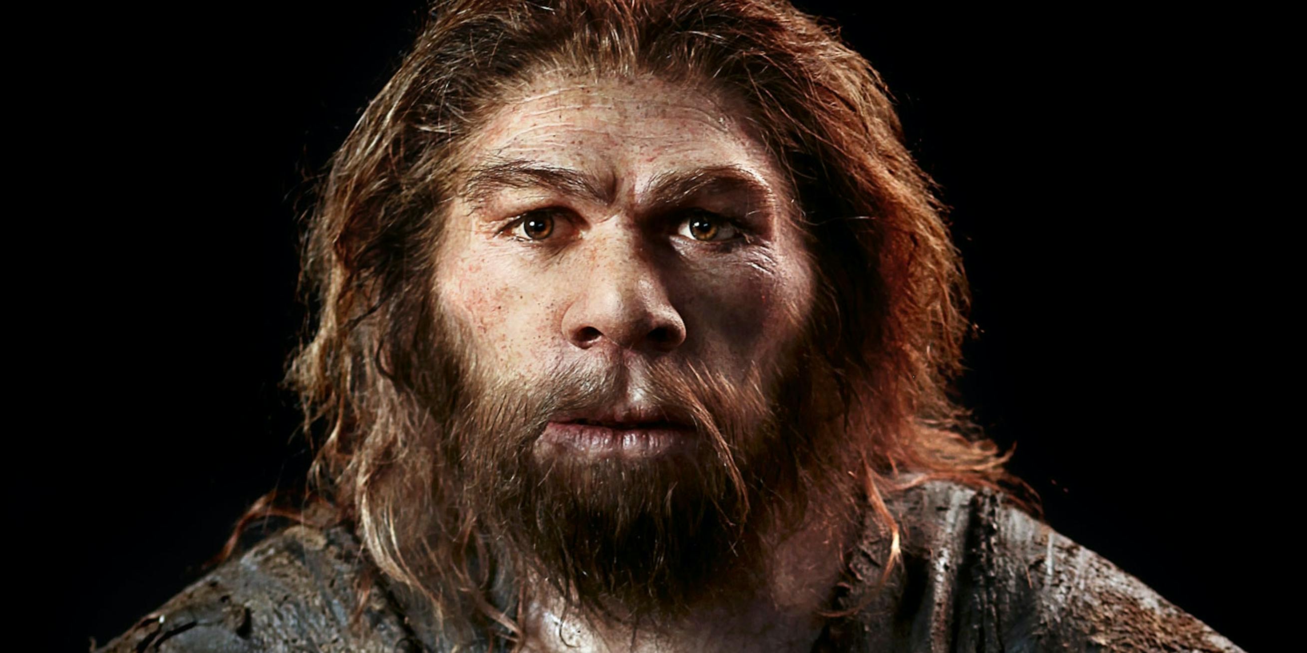 Hvorfor forsvandt neandertalerne?