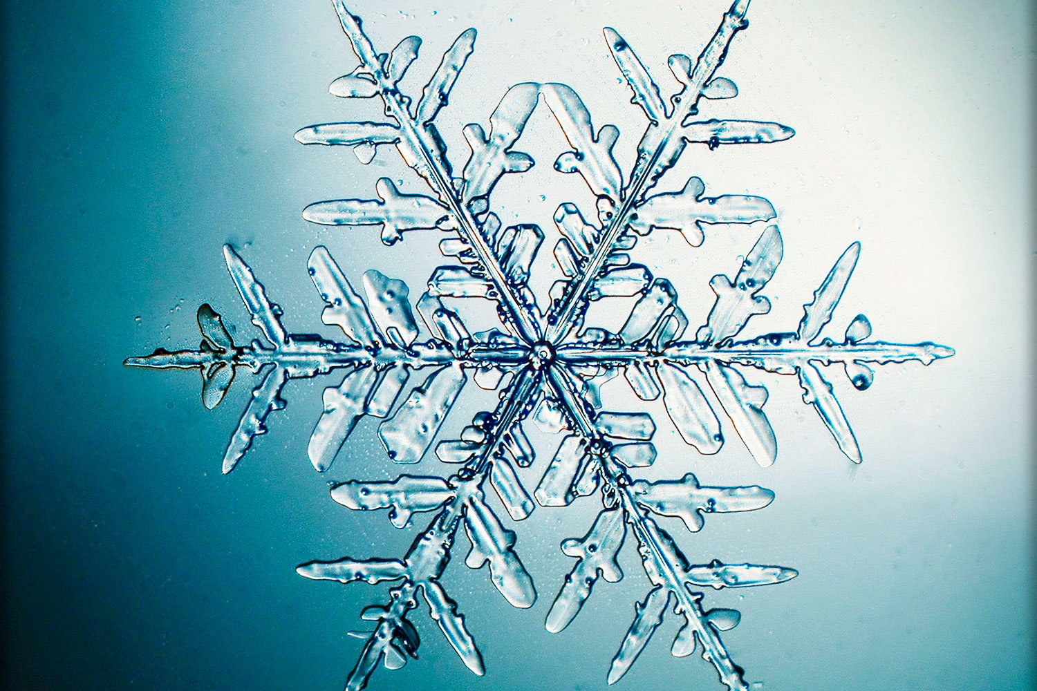 11 ting du ikke visste om snø | illvit.no