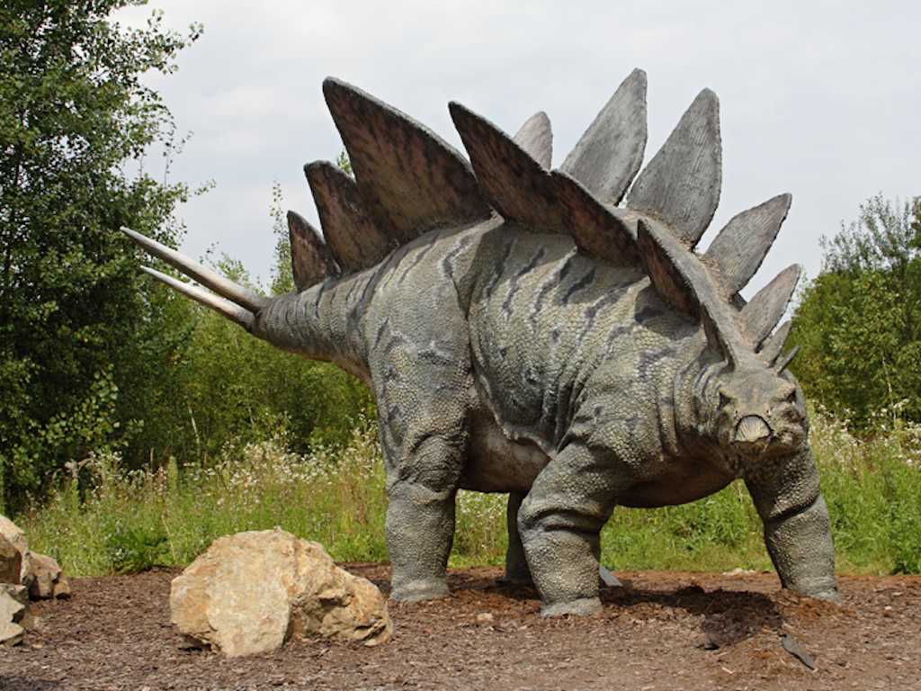 Dinosaur colour