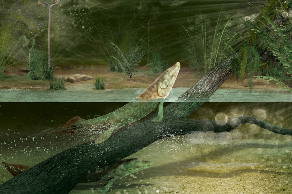 Tiktaalik